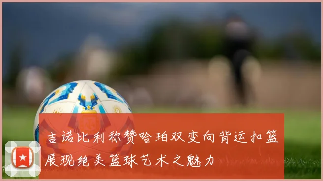吉诺比利称赞哈珀双变向背运扣篮展现绝美篮球艺术之魅力